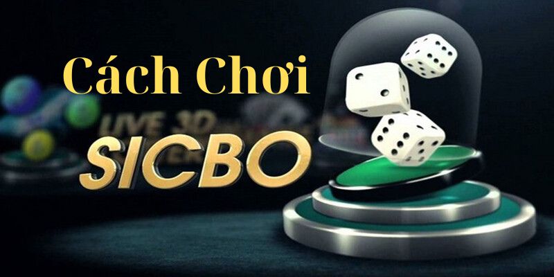 Cách Chơi Sicbo Tài Xỉu Dễ Dàng Cho Người Mới Bắt Đầu