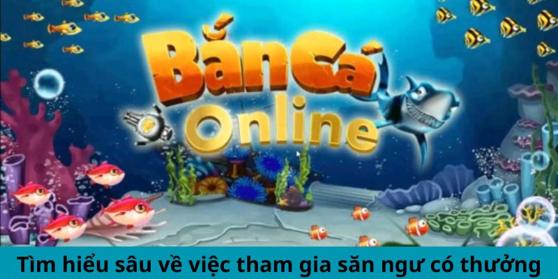 Tìm hiểu sâu về việc tham gia săn ngư có thưởng