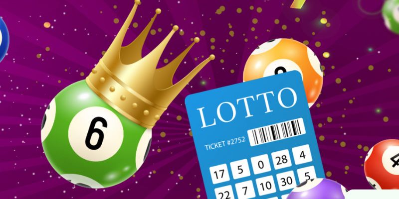 Khám phá cách chơi Lotto cơ bản từ A đến Z cho tân thủ