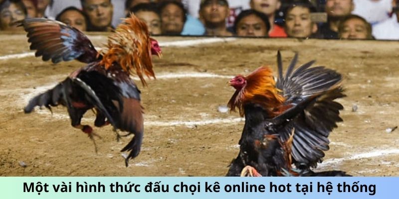 Một vài hình thức đấu chọi kê online hot tại hệ thống