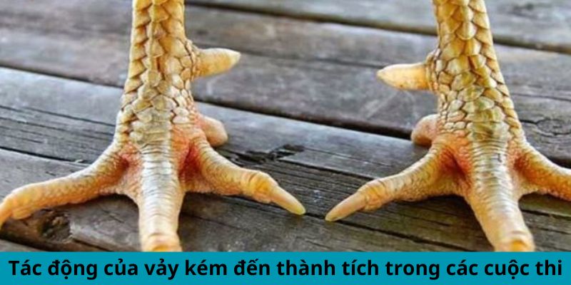 Tác động của vảy kém đến thành tích trong các cuộc thi