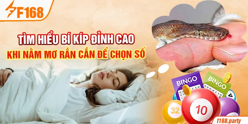 Tìm hiểu bí kíp đỉnh cao khi nằm mơ rắn cắn để chọn số